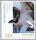 Western Osprey Pandion haliaetus  2018 Birds of Bonaire Sheet