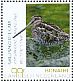 Wilson's Snipe Gallinago delicata  2018 Birds of Bonaire Sheet