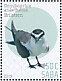 Bridled Tern Onychoprion anaethetus  2019 Birds (Saba) Sheet
