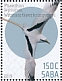 White-tailed Tropicbird Phaethon lepturus