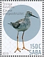 Lesser Yellowlegs Tringa flavipes