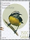 Bananaquit Coereba flaveola