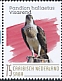 Western Osprey Pandion haliaetus  2020 Birds (Saba) 