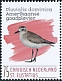 American Golden Plover Pluvialis dominica