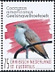 Yellow-billed Cuckoo Coccyzus americanus  2020 Birds (St Eustatius) 