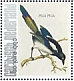 Eurasian Magpie Pica pica  2021 Birds (Bonaire) 2021 Sheet