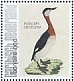 Red-necked Grebe Podiceps grisegena  2021 Birds (Bonaire) 2021 Sheet