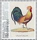 Red Junglefowl Gallus gallus  2021 Birds (Bonaire) 2021 Sheet