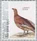 Black Grouse Lyrurus tetrix  2021 Birds (Bonaire) 2021 Sheet