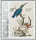 Common Kingfisher Alcedo atthis  2021 Birds (Bonaire) 2021 Sheet