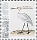 Eurasian Spoonbill Platalea leucorodia  2021 Birds (Bonaire) 2021 Sheet