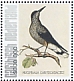 Spotted Nutcracker Nucifraga caryocatactes  2021 Birds (Saba) 2021 Sheet