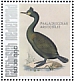 European Shag Gulosus aristotelis  2021 Birds (Saba) 2021 Sheet