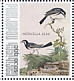 White Wagtail Motacilla alba  2021 Birds (Saba) 2021 Sheet
