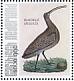 Eurasian Curlew Numenius arquata  2021 Birds (Saba) 2021 Sheet