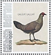 Red Junglefowl Gallus gallus  2021 Birds (Saba) 2021 Sheet