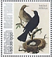 Common Blackbird Turdus merula  2021 Birds (Saba) 2021 Sheet