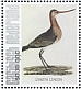 Black-tailed Godwit Limosa limosa  2021 Birds (Saba) 2021 Sheet