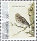 Little Owl Athene noctua  2021 Birds (St Eustatius) 2021 Sheet