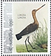 Black-tailed Godwit Limosa limosa  2021 Birds (St Eustatius) 2021 Sheet