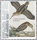 Jack Snipe Lymnocryptes minimus  2021 Birds (St Eustatius) 2021 Sheet
