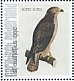 Common Buzzard Buteo buteo  2021 Birds (St Eustatius) 2021 Sheet