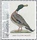 Mallard Anas platyrhynchos  2021 Birds (St Eustatius) 2021 Sheet