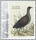 Common Moorhen Gallinula chloropus  2021 Birds (St Eustatius) 2021 Sheet