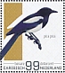 Eurasian Magpie Pica pica