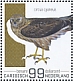 Hen Harrier Circus cyaneus  2022 Birds (Bonaire) 2022 Sheet