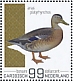 Mallard Anas platyrhynchos  2022 Birds (Bonaire) 2022 Sheet