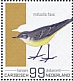 Western Yellow Wagtail Motacilla flava  2022 Birds (Bonaire) 2022 Sheet