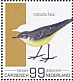 Western Yellow Wagtail Motacilla flava