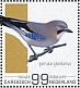 Eurasian Jay Garrulus glandarius  2022 Birds (Bonaire) 2022 Sheet