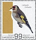 European Goldfinch Carduelis carduelis  2022 Birds (Bonaire) 2022 Sheet