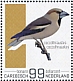 Hawfinch Coccothraustes coccothraustes  2022 Birds (Bonaire) 2022 Sheet