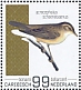 Sedge Warbler Acrocephalus schoenobaenus  2022 Birds (Bonaire) 2022 Sheet