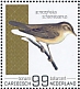 Sedge Warbler Acrocephalus schoenobaenus