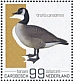 Canada Goose Branta canadensis  2022 Birds (Bonaire) 2022 Sheet