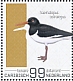 Eurasian Oystercatcher Haematopus ostralegus  2022 Birds (Bonaire) 2022 Sheet