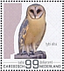 Western Barn Owl Tyto alba  2022 Birds (Saba) 2022 Sheet