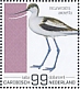 Pied Avocet Recurvirostra avosetta  2022 Birds (Saba) 2022 Sheet