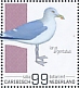European Herring Gull Larus argentatus  2022 Birds (Saba) 2022 Sheet