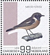 European Stonechat Saxicola rubicola