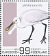 Eurasian Spoonbill Platalea leucorodia