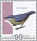 Eurasian Nuthatch Sitta europaea