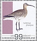 Eurasian Whimbrel Numenius phaeopus  2022 Birds (Saba) 2022 Sheet