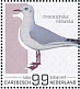 Black-headed Gull Chroicocephalus ridibundus  2022 Birds (Saba) 2022 Sheet