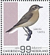 Whinchat Saxicola rubetra