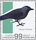 Western Jackdaw Coloeus monedula  2022 Birds (St Eustatius) 2022 Sheet